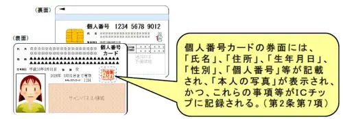 個人番号カード　個人番号カードの券面には、「氏名」、「住所」、「生年月日」、「性別」、「個人番号」等が記載され、「本人の写真」が表示され、かつ、これらの事項等がICチップに記録される。（第2条第7項）