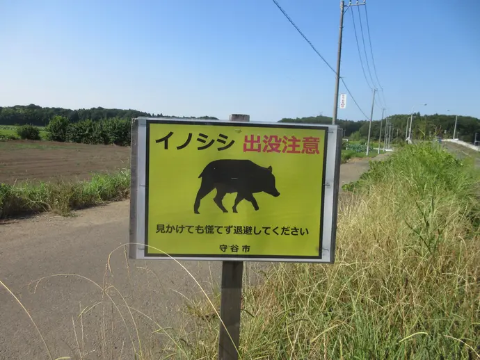 写真：イノシシ出没注意喚起看板