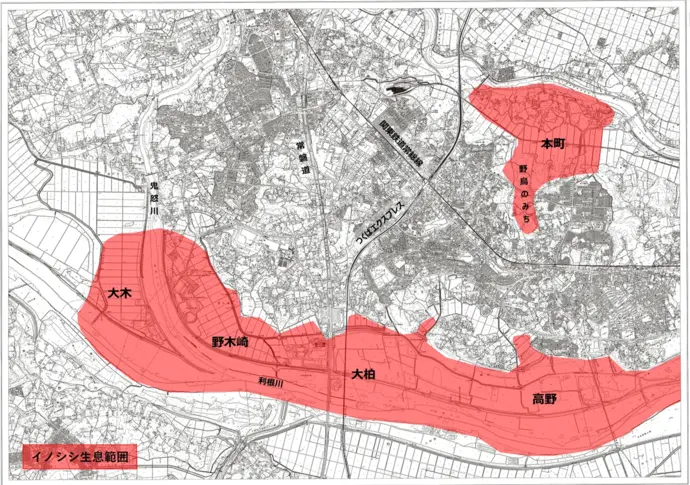 地図：イノシシの生息範囲