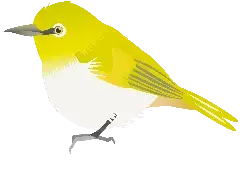 イラスト：野鳥1