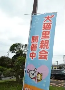 写真：犬猫里親会開催中 のぼり