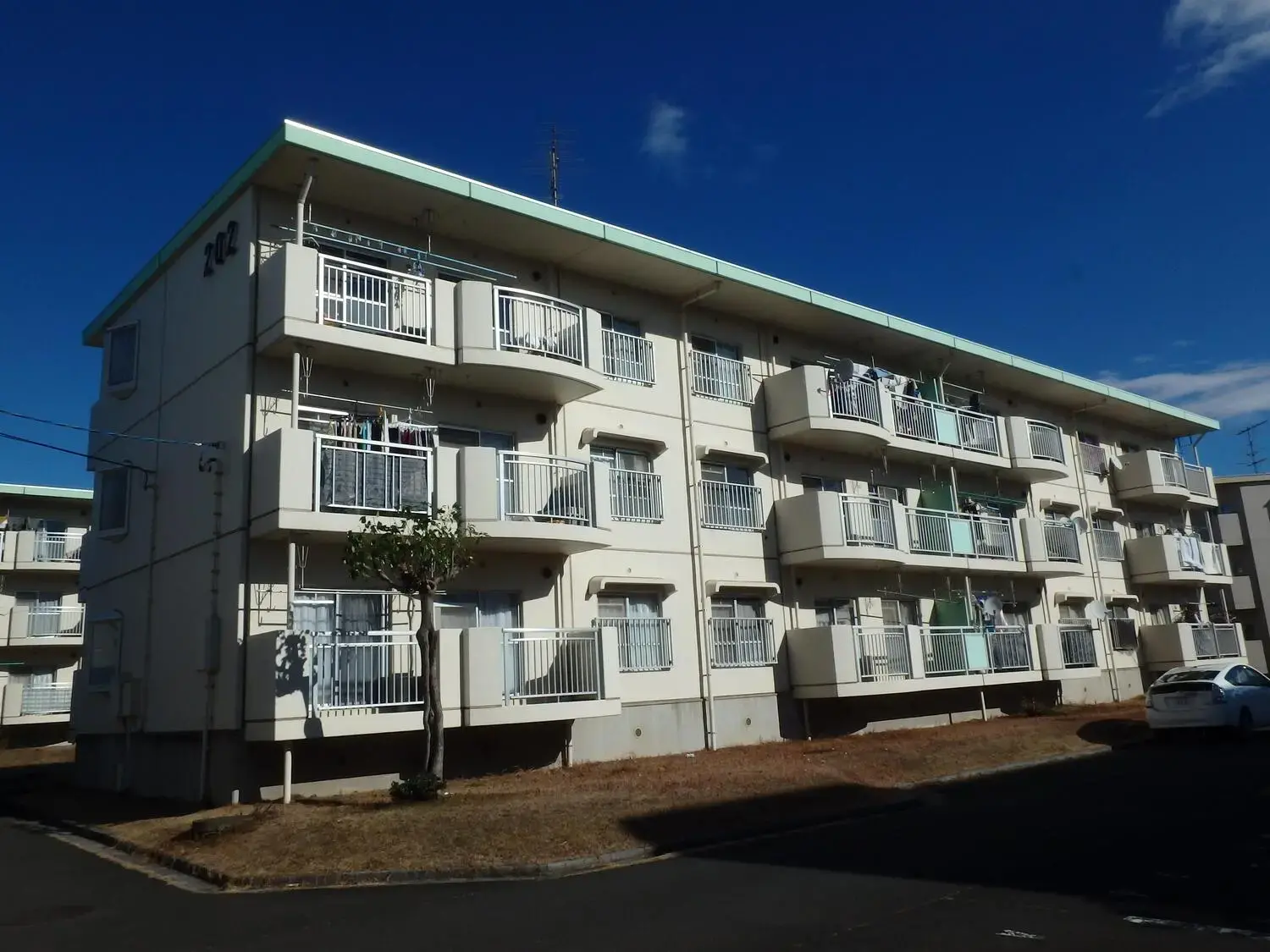 写真：市営薬師台住宅の外観