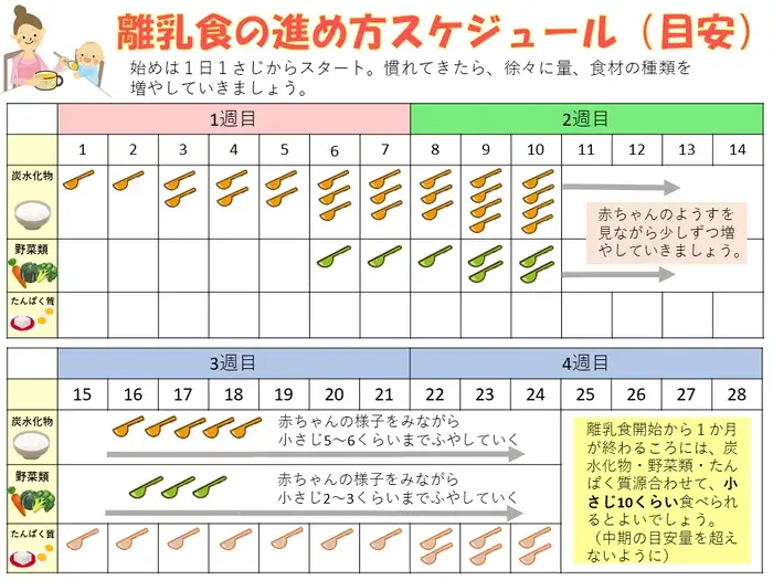 イラスト：離乳食の進め方スケジュール（目安）