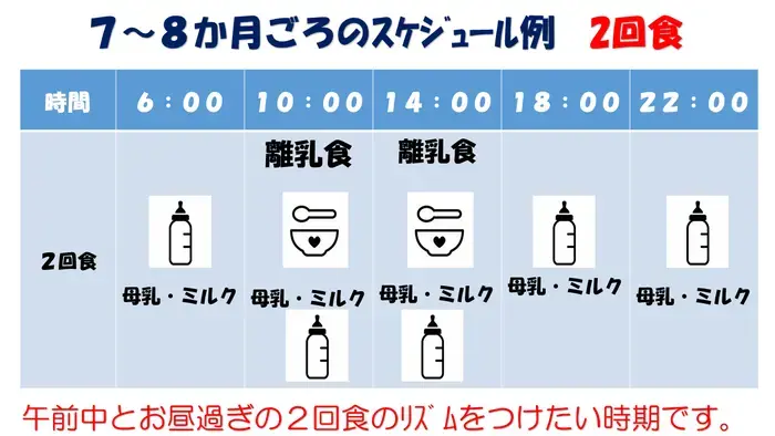 7、8か月頃のスケジュール例として、午前6時から午後10時まで、4時間おきに母乳かミルクを与え、離乳食は午前10時と午後2時の2回与えるなど、午前中とお昼過ぎの2回食のリズムをつけたい時期です。