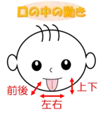 イラスト：口の中の動き　舌やあごを、前後・上下・左右に動かせるようになる