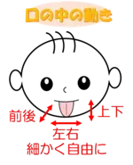 イラスト：口の中の動き　前後・上下・左右に細かく自由に動かすことができるようになる