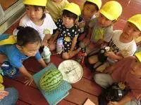 写真：スイカを計る様子