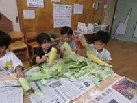 写真：トウモロコシの皮をむく様子