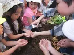 写真：両手で大事そうに種を持つ子たち