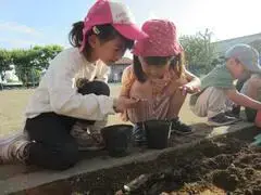 写真：土に人差し指で穴をあける子