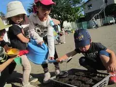 写真：協力してじょうろで水をあげる子たち