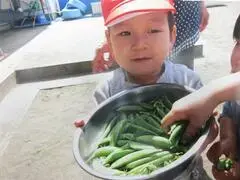 写真：ざるいっぱいのスナップエンドウを持つ子