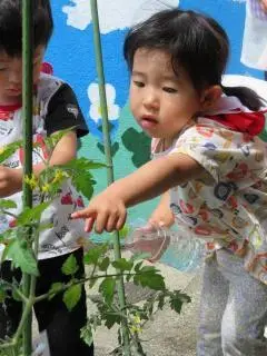 写真：トマトを指さしている子