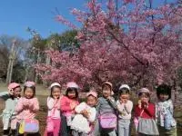 写真：お花見（土塔中央保育所）