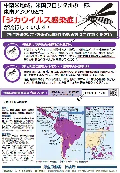 写真：チラシ　ジカウイルス感染症情報