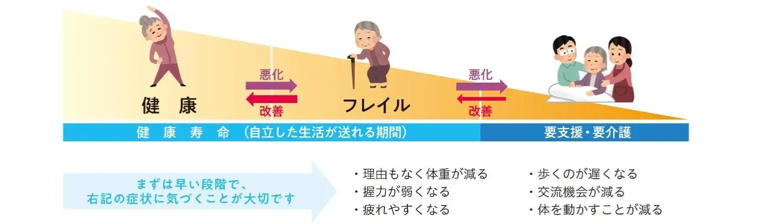 イラスト：フレイルの説明