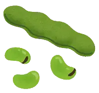 イラスト：夏の生夏豆