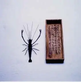 写真：熟鉄製海老