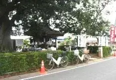 写真：廿三夜尊1