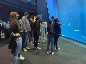 写真：アクアワールド茨城県大洗水族館を見学する様子