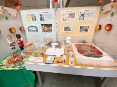 写真：ガラスケース内の展示品