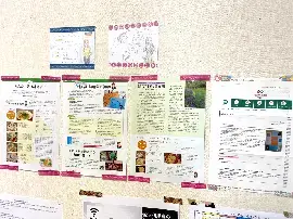 写真：国際交流員コーナー