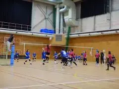 写真：大会の様子3