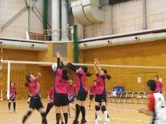 写真：大会の様子1