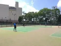 写真：大会の様子