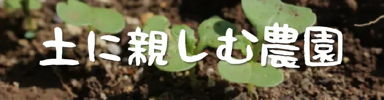 写真：土に親しむ農園