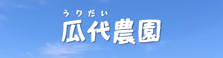 写真：瓜代農園