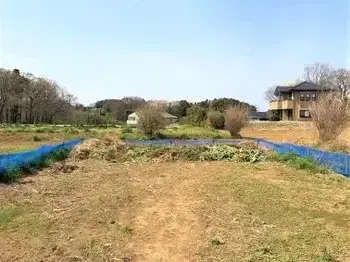 写真：野菜くず置き場の様子