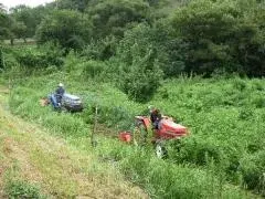 写真：除草作業の様子2