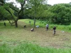 写真：手作業の除草