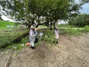 写真：除草作業の様子2