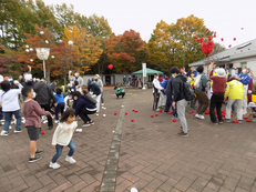 写真：リンリン健康フェスタ開催の様子6