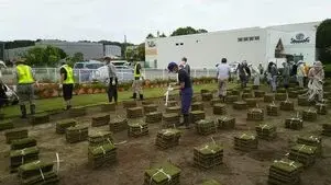 写真：芝貼り開始の様子