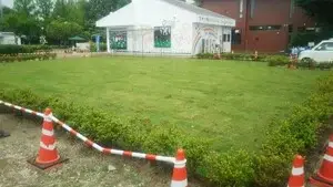 写真：芝生ひろば