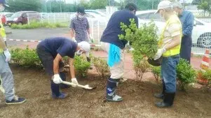 写真：植栽作業の様子