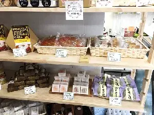 写真：店内の様子3