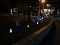 写真：イルミネーションを括り付けている様子