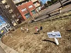 写真：イルミネーション設置1