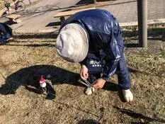 写真：イルミネーション設置2