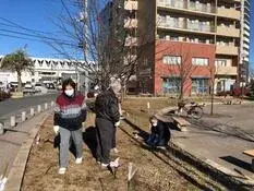 写真：イルミネーション設置3