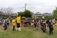 写真：ハロウィン
