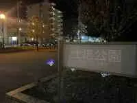 写真：土塔公園イルミネーション1