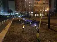 写真：土塔公園イルミネーション2