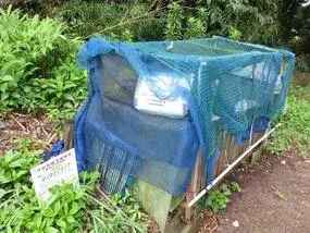 写真：購入前のごみ集積所