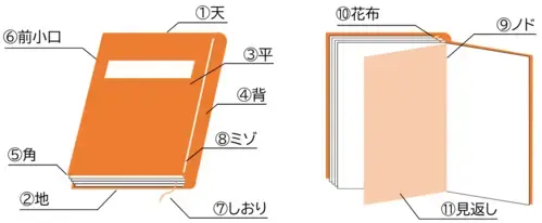 イラスト：本の部分名称