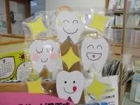 写真：きれいな歯